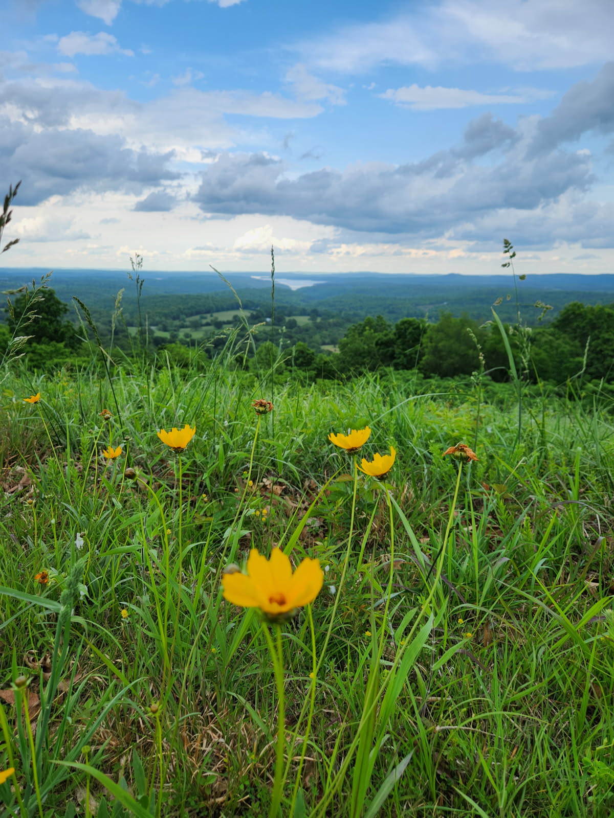 Ozarks overlook near Ava, Missouri